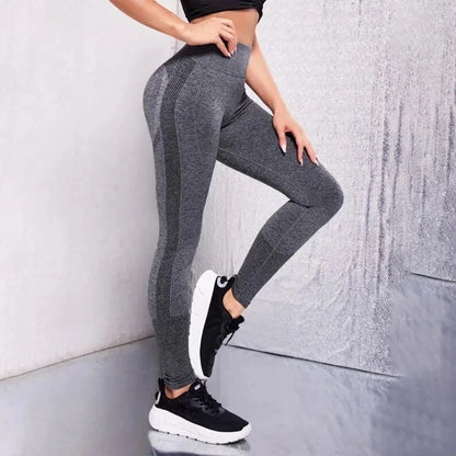 Flex Fit Seamless Workout Leggings