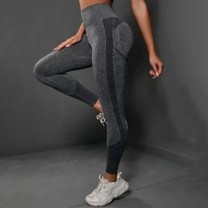 Flex Fit Seamless Workout Leggings